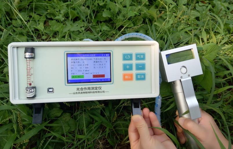 光合作用測定儀:研究數據為培育竹子提供指導依據